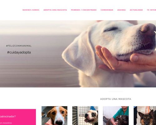 Página web Cuida y adopta